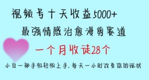 十天收益5000+,多平台捞金,视频号情感治愈漫剪,一个月收徒28个,小白一部手机轻松上手【揭秘】-遨游资源库
