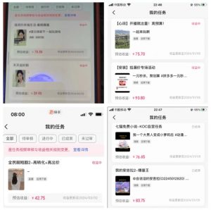 2024年3月最新，快手磁力聚星全流程实操教学，8台手机日均收益稳定100~200元【揭秘】-遨游资源库