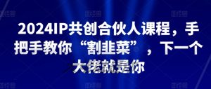 2024IP共创合伙人课程，手把手教你“割韭菜”，下一个大佬就是你-遨游资源库