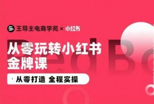 王导主·小红书电商运营实操课，​从零打造  全程实操-遨游资源库