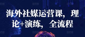 海外社媒运营课，理论+演练，全流程-遨游资源库