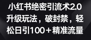 小红书绝密引流术2.0升级玩法，破封禁，轻松日引100+精准流量【揭秘】-遨游资源库