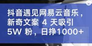 抖音遇见网易云音乐，新奇文案 4 天吸引 5W 粉，日挣1000+【揭秘】-遨游资源库