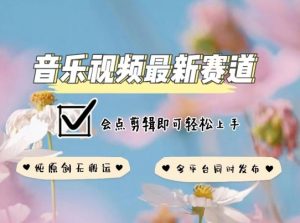音乐视频赛道最新玩法，纯原创不违规，可所有平台同时发布，会点剪辑即可轻松拿捏【揭秘】-遨游资源库