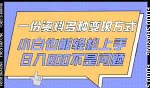 一份资料多种变现方式，小白也能轻松上手，日入800不是问题【揭秘】-遨游资源库