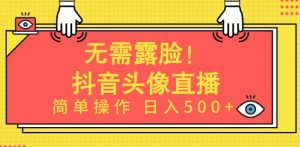 无需露脸，Ai头像直播项目，简单操作日入500+【揭秘】-遨游资源库