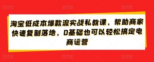 淘宝低成本爆款流实战私教课，帮助商家快速复制落地，0基础也可以轻松搞定电商运营-遨游资源库
