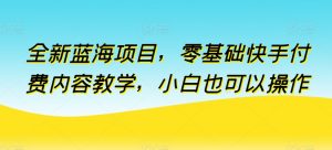 全新蓝海项目，零基础快手付费内容教学，小白也可以操作【揭秘】-遨游资源库