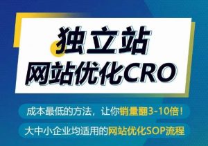 独立站网站优化CRO，成本最低的方法，让你销量翻3-10倍-遨游资源库