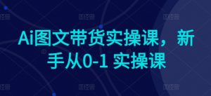 Ai图文带货实操课，新手从0-1 实操课-遨游资源库