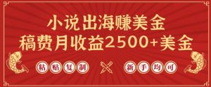 小说出海赚美金，稿费月收益2500+美金，仅需chatgpt粘贴复制，新手也能玩转【揭秘】-遨游资源库