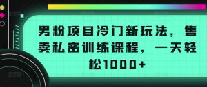 男粉项目冷门新玩法，售卖私密训练课程，一天轻松1000+【揭秘】-遨游资源库
