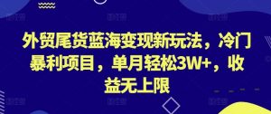 外贸尾货蓝海变现新玩法，冷门暴利项目，单月轻松3W+，收益无上限【揭秘】-遨游资源库