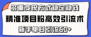 精准项目粉高效引流术，新手单日引流50+，多重变现方式稳定赚钱【揭秘】-遨游资源库