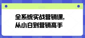 全系统实战营销课，从小白到营销高手-遨游资源库