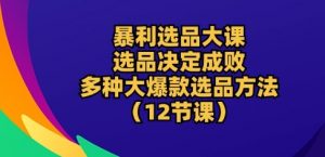 暴利选品大课：选品决定成败，教你多种大爆款选品方法(12节课)-遨游资源库