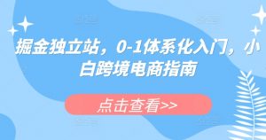 掘金独立站，0-1体系化入门，小白跨境电商指南-遨游资源库