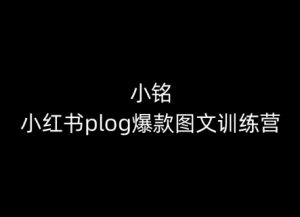 小铭-小红书plog爆款图文训练营，教你从0-1做小红书-遨游资源库