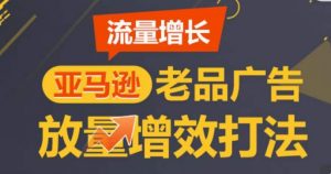 亚马逊流量增长-老品广告放量增效打法，循序渐进，打造更多TOP listing​-遨游资源库