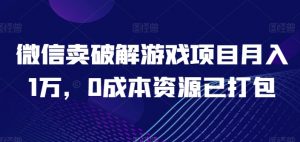 微信卖破解游戏项目月入1万，0成本资源已打包【揭秘】-遨游资源库