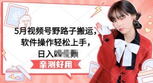 5月视频号野路子搬运，软件操作轻松上手，日入三位数【揭秘】-遨游资源库