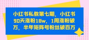 小红书私教第七期，小红书90天涨粉18w，1周涨粉破万，半年矩阵号粉丝破百万-遨游资源库