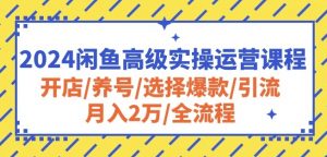 2024闲鱼高级实操运营课程：开店/养号/选择爆款/引流/月入2万/全流程-遨游资源库