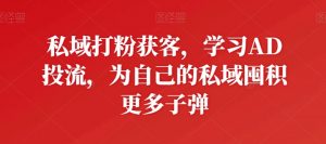 私域打粉获客,学习AD投流,为自己的私域囤积更多子弹-遨游资源库