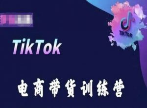 TikTok电商带货训练营，跟随时代潮流，跨境掘金-遨游资源库