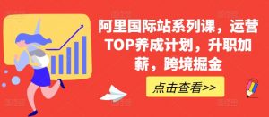 阿里国际站系列课，运营TOP养成计划，升职加薪，跨境掘金-遨游资源库