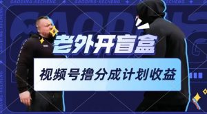 老外开盲盒视频，撸视频号分成计划收益，每天只需一小时，新手小白轻松上手【揭秘】-遨游资源库