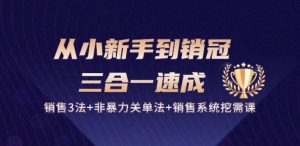 从小新手到销冠 三合一速成：销售3法+非暴力关单法+销售系统挖需课 (27节)-遨游资源库