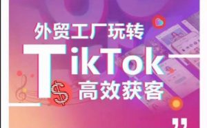 外贸工厂玩转TikTok高效获客，多种引流方式与账号定位技巧，拆解爆款短视频打造成功案例-遨游资源库