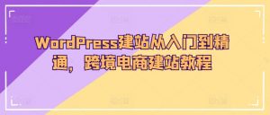 WordPress建站从入门到精通，跨境电商建站教程-遨游资源库