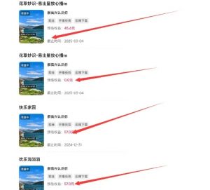 磁力聚星游戏副业陪跑训练营1.0，长期稳定项目，有人一周干了1K+-遨游资源库