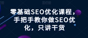 零基础SEO优化课程，手把手教你做SEO优化，只讲干货-遨游资源库