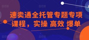 速卖通全托管专题专项课程，实操 高效 爆单-遨游资源库
