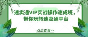 速卖通VIP实战操作速成班，带你玩转速卖通平台-遨游资源库