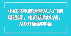 小红书电商运营从入门到精通课，电商店群实战，从0开始到学会-遨游资源库