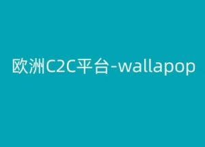 欧洲C2C平台-wallapop-kim跨境电商教程-遨游资源库