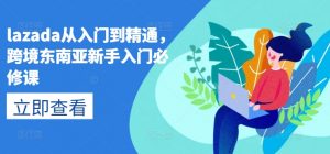 lazada从入门到精通，跨境东南亚新手入门必修课-遨游资源库