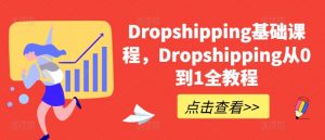 Dropshipping基础课程，Dropshipping从0到1全教程-遨游资源库