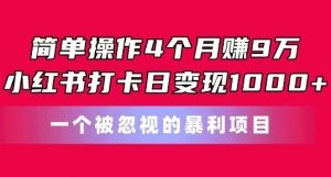 简单操作4个月赚9w，小红书打卡日变现1k，一个被忽视的暴力项目【揭秘】-遨游资源库