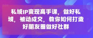 私域IP变现高手课，做好私域，被动成交，教你如何打造好朋友圈做好社群-遨游资源库