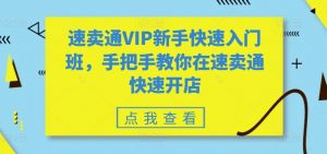 速卖通VIP新手快速入门班，手把手教你在速卖通快速开店-遨游资源库