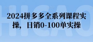 2024拼多多全系列课程实操，日销0-100单实操【必看】-遨游资源库
