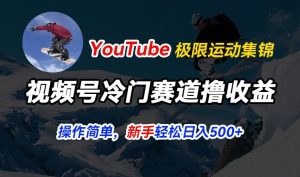 视频号冷门赛道撸收益，YouTube搬运极限运动集锦，暴力起号，操作简单流量高，轻松日入5张【揭秘】-遨游资源库