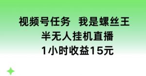 视频号任务，我是螺丝王， 半无人挂机1小时收益15元【揭秘】-遨游资源库
