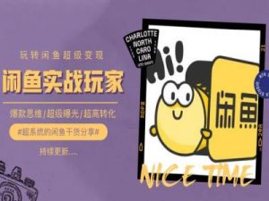 手把手教你0到1系统玩转闲鱼变现，爆款思维/超级曝光/超高转化-遨游资源库