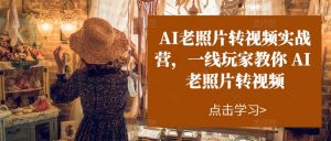 AI老照片转视频实战营，一线玩家教你AI老照片转视频-遨游资源库